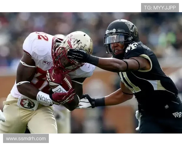 全方位解读体育精神与竞技发展对社会文化的深远影响