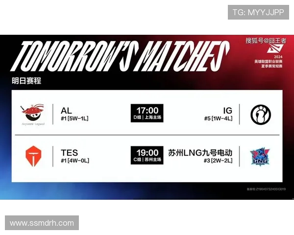 IG与AL的全面对比分析：两者优势、劣势及市场前景深度解读