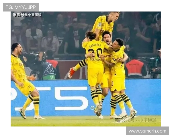 多特蒙德足球俱乐部的发展历程与未来展望分析