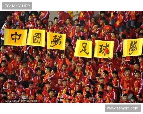 全方位聚焦当代足球运动员成长轨迹及其场内外精彩人生深度解读