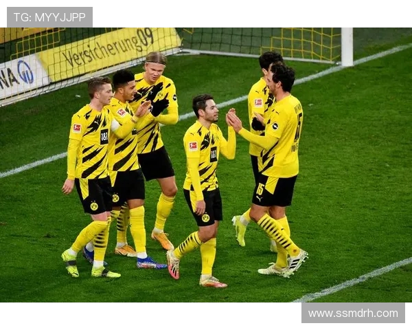 多特蒙德足球俱乐部的辉煌历程与未来发展展望