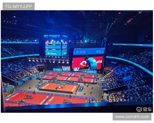 北京乒乓球队逆袭之旅全景揭秘赛场背后的奋斗与荣耀