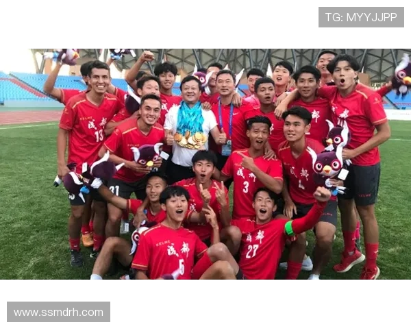 南京足球队与成都足球队赛后分析实力对比与表现总结