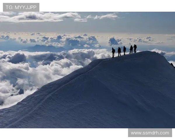 重庆极限运动队的默契配合与团队精神探讨
