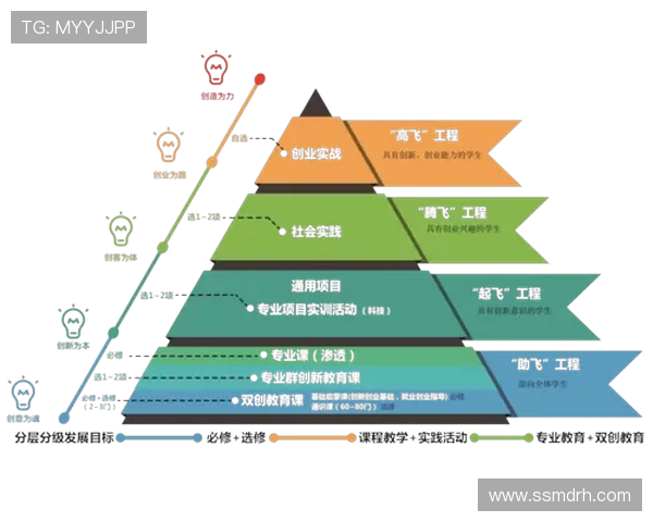 乒乓球运动的魅力与发展：从技术创新到全球普及的探索之路